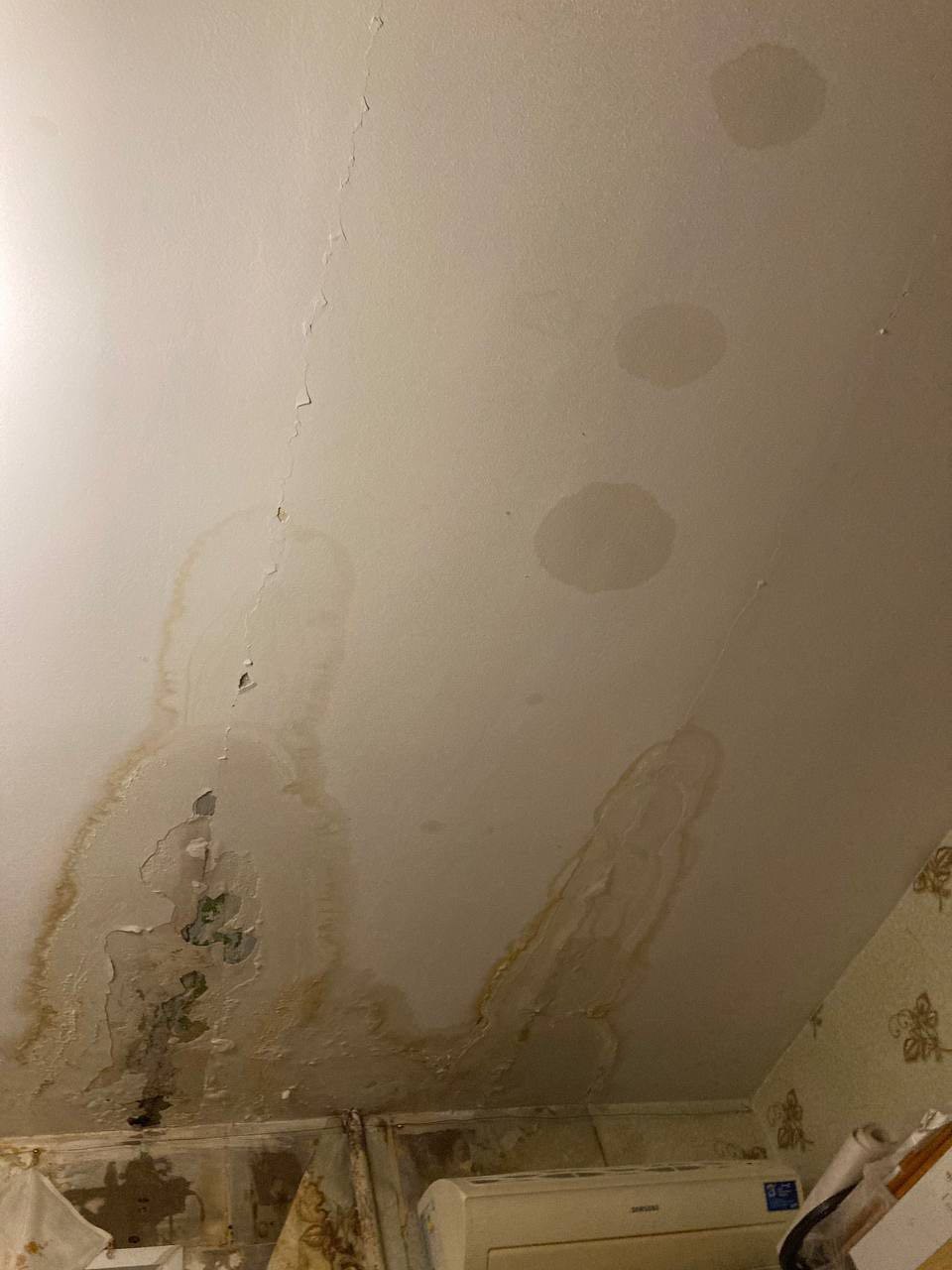 «Падают кирпичи, боимся, что обрушится окно»: в центре Волгограда разрушается исторический дом на проспекте Ленина «Падают кирпичи, боимся, что обрушится окно»: в центре Волгограда разрушается исторический дом на проспекте Ленина