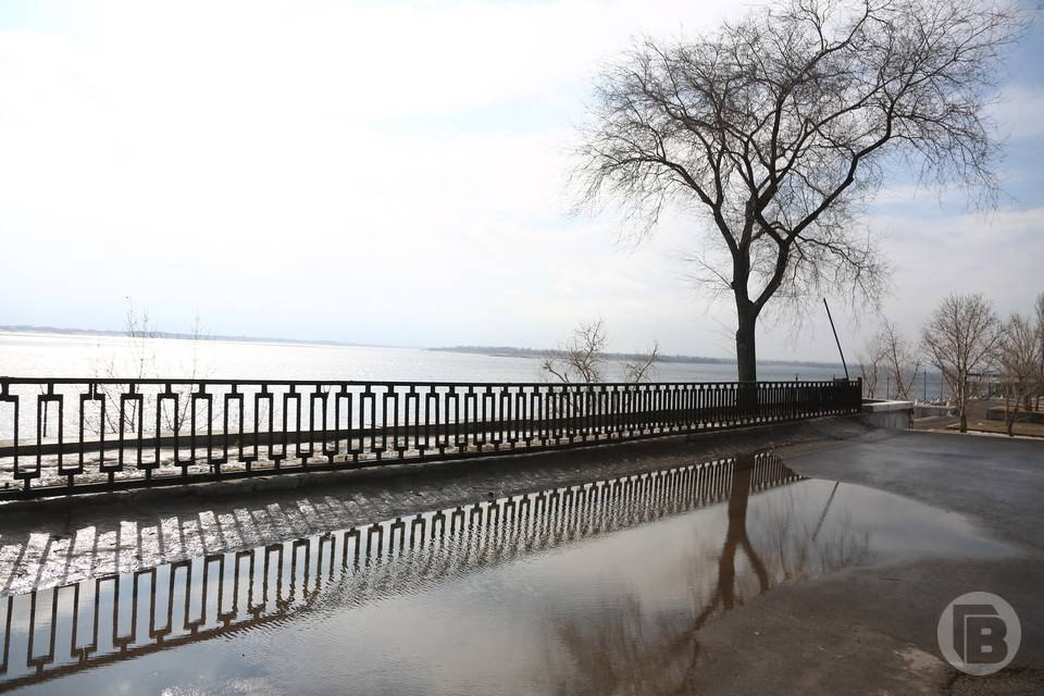 Синоптики Волгоградского ЦГМС сообщают, что 17 март в Волгоградской области ночью и днем небольшие дожди