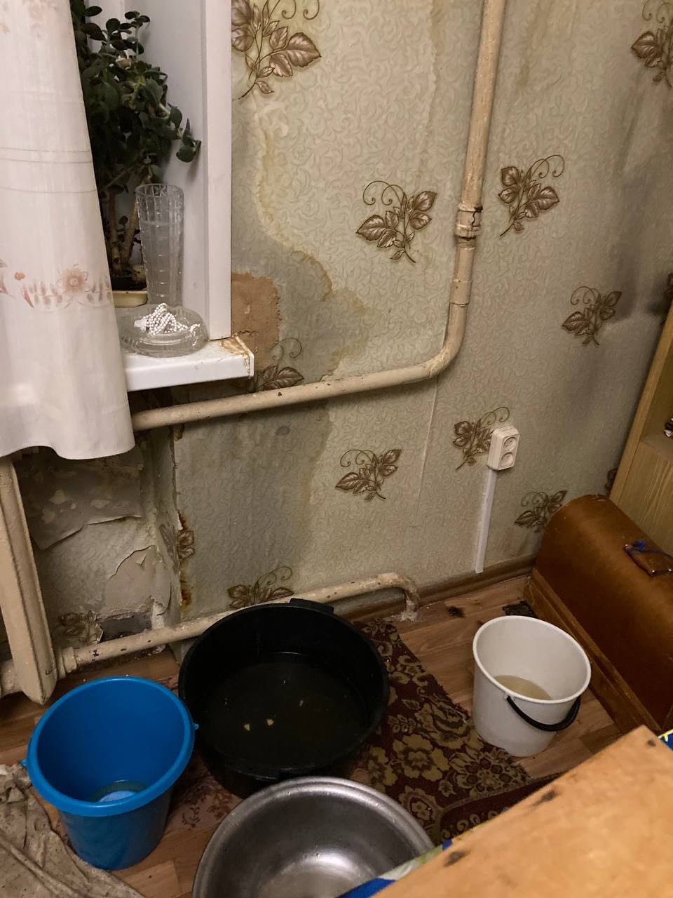 «Падают кирпичи, боимся, что обрушится окно»: в центре Волгограда разрушается исторический дом на проспекте Ленина «Падают кирпичи, боимся, что обрушится окно»: в центре Волгограда разрушается исторический дом на проспекте Ленина