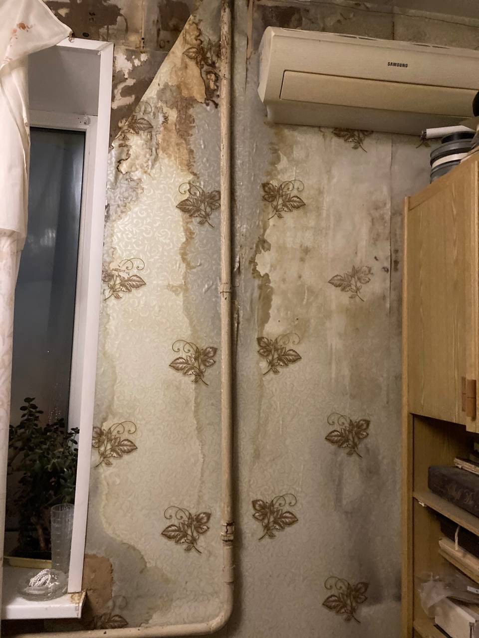 «Падают кирпичи, боимся, что обрушится окно»: в центре Волгограда разрушается исторический дом на проспекте Ленина «Падают кирпичи, боимся, что обрушится окно»: в центре Волгограда разрушается исторический дом на проспекте Ленина