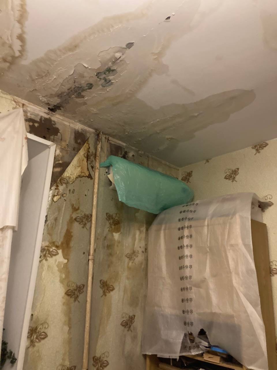 «Падают кирпичи, боимся, что обрушится окно»: в центре Волгограда разрушается исторический дом на проспекте Ленина «Падают кирпичи, боимся, что обрушится окно»: в центре Волгограда разрушается исторический дом на проспекте Ленина