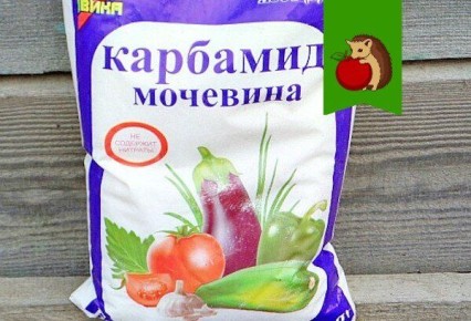 Пять причин, почему мочевина может навредить вашим растениям