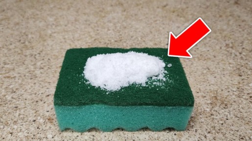 ���� �� �����: ������� �������, � ������� ����� ����� �������