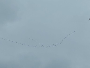 ��������� ���� � �������� ����� �����