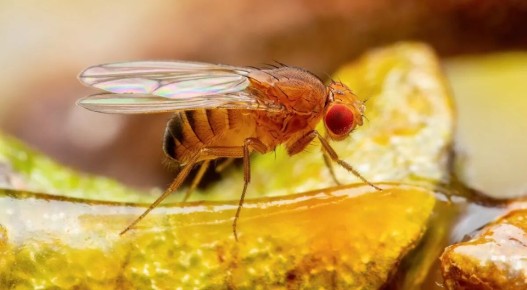 ��� ���������� � ������: ������ �� ������������ ���������