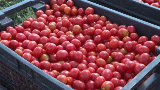 � ������������� ��������� ���������� ������ � ���������� ��������