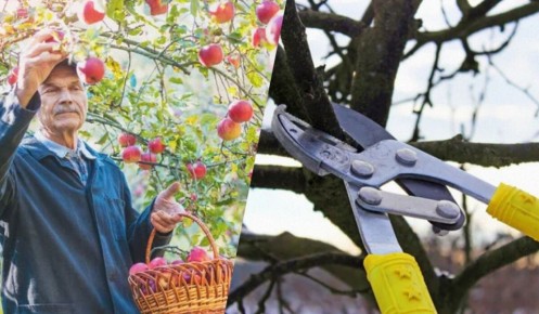 ������ ������� ��������: ���� � ���������� �� ���������