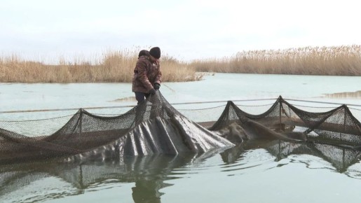 На осетровой ферме в Светлоярском районе планируют принимать экотуристов