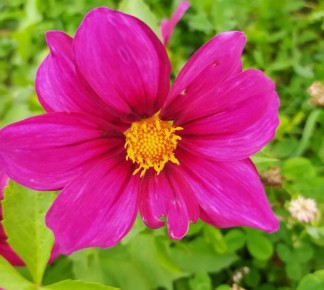 ����� �� �������: ����������� ��������� �������� ��� �������� ������