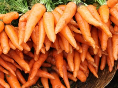 12 лучших сортов моркови для вашего огорода в 2026 году
