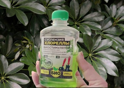 Зачем растениям нужна суспензия хлореллы?