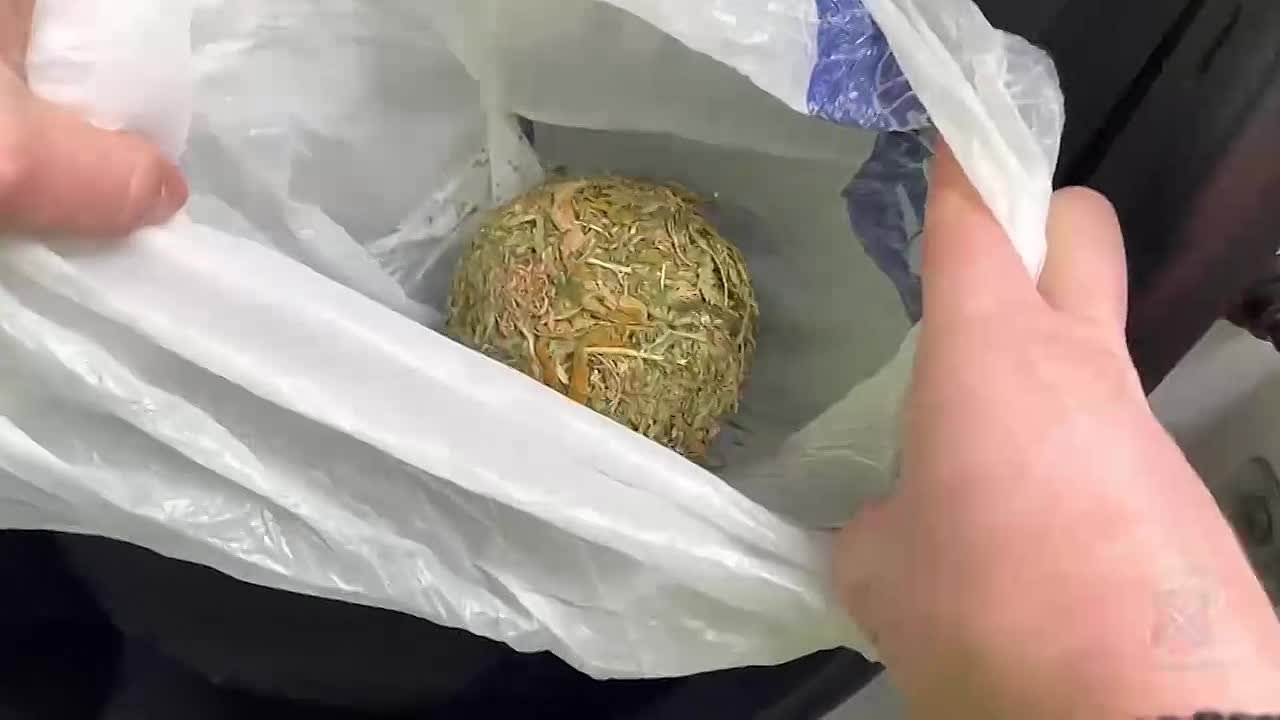 В Городищенском районе полицейские обнаружили партию растительного наркотика у пассажира авто