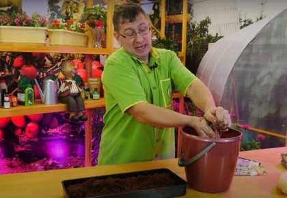 От эустомы до мимулюса: уникальные растения для вашего сада и подоконника