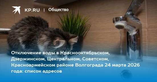 �� �������� ������� ���� 24 �����!