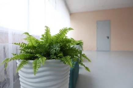 ������ � ���������� ���������� ������ ����������