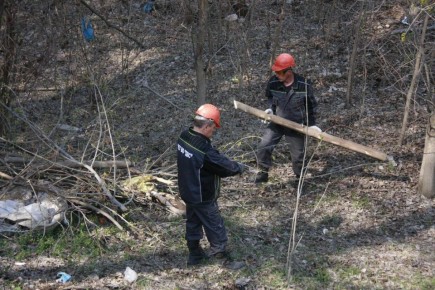 � �����-����������� ����� ������� ������ �� ���������� �������������� ���������� � �������