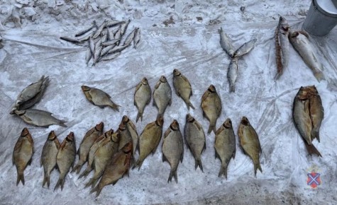 ������������ ������������� ������ ��� �������� ���������� �������� �����, ������������� � �����������