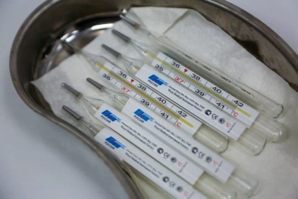 ����� �������� ������ ������� ������������, �������� ��������