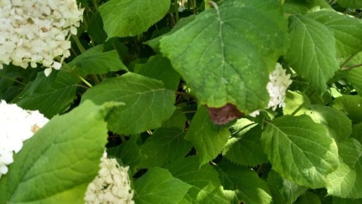 ��� ��������� �������� ���������: ������� ����� � ��������