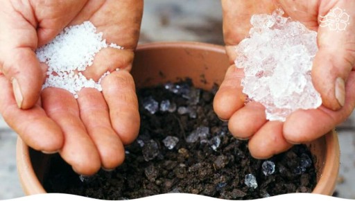 ��� ��������� �������������� ���� �� ��������: �������� ������� ����������