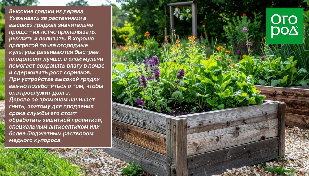 Создание декоративного огорода: Как сочетать функциональность и эстетику