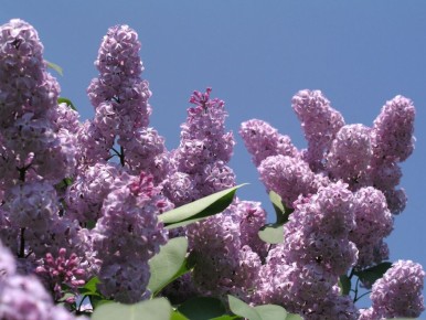 ������: ��� ��������� ������� � ��������� �� ��� ���������