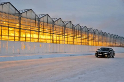 � ��������� ������� � ��������� ��������� ���������� 38 ���������, ���������� �����