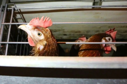 � ������������� ������ ��������� ����� �������� �������