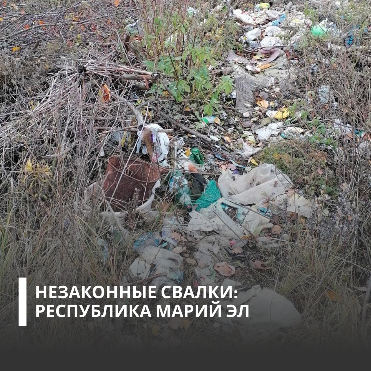 Суд обязал администрацию Моркинского муниципального района возместить вред, причиненный почвам из-за несанкционированной свалки