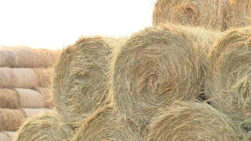 ������� ���������� ��������� � ����������� ������