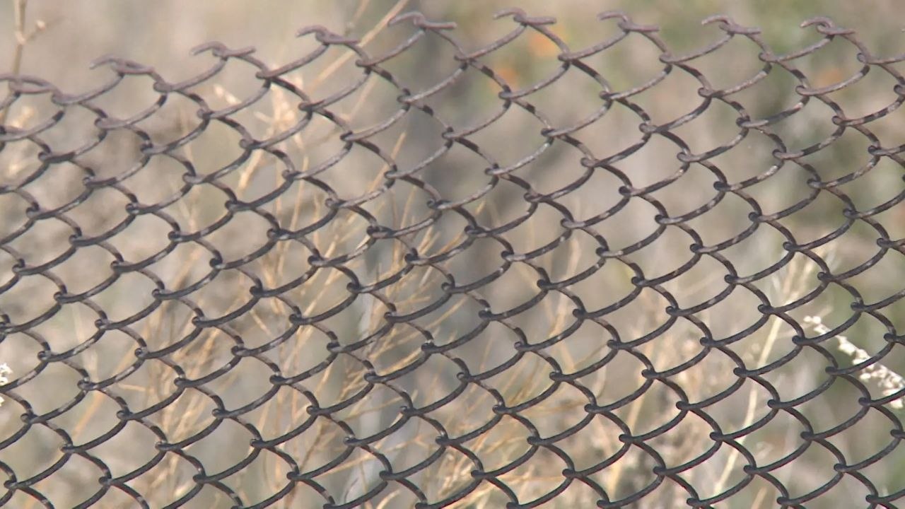 Зараженных бешенством животных обнаружили в Нехаевском районе