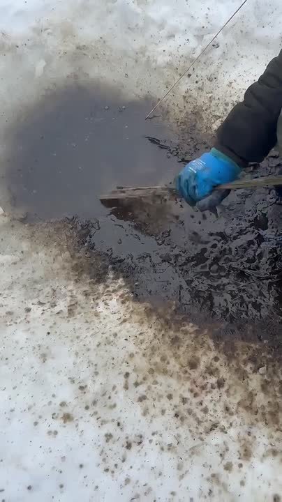 В Самарской области начата проверка после обнаружения нефти в затоне