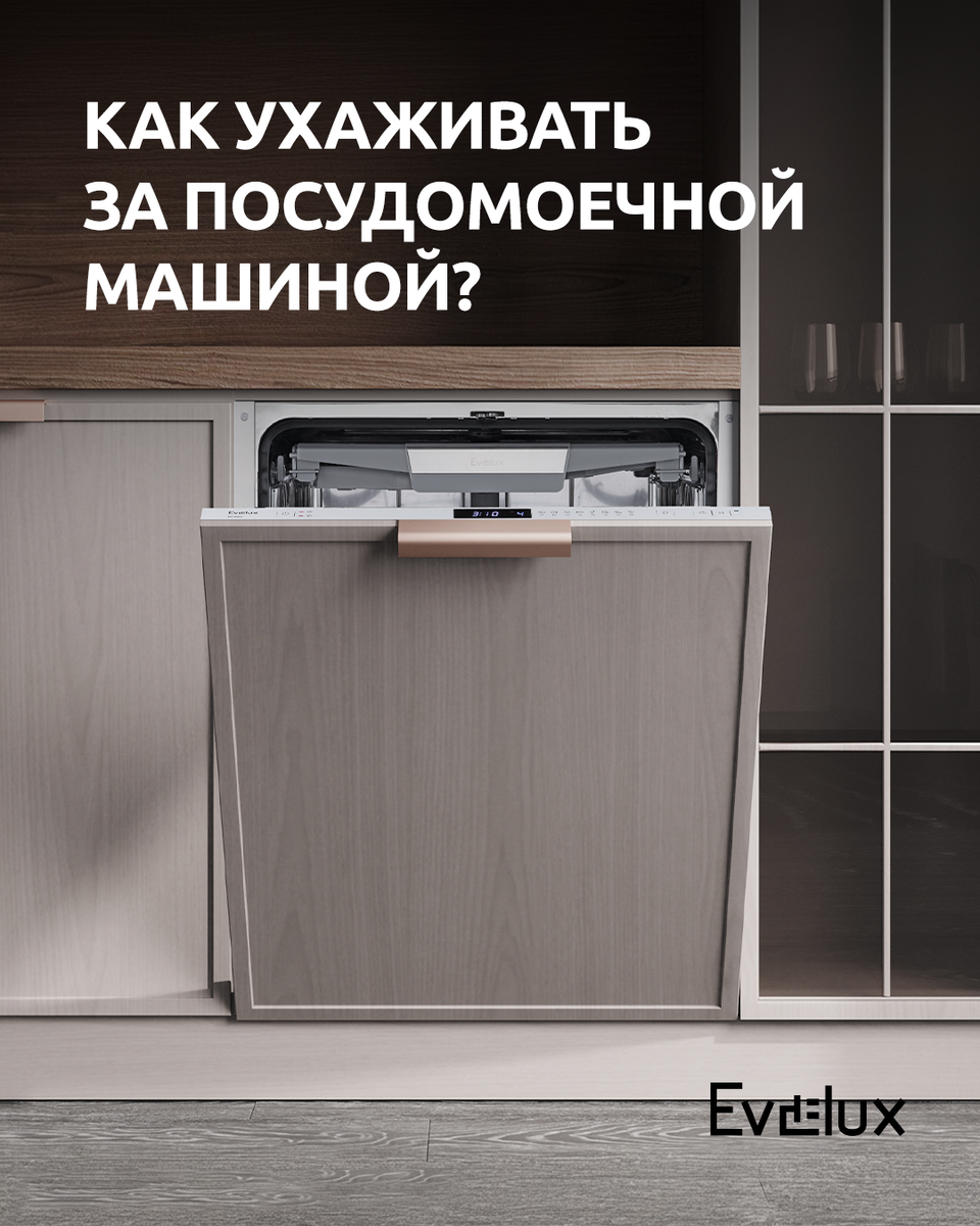 Как правильно ухаживать за посудомоечной машиной Evelux