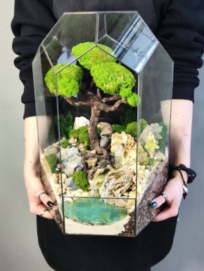 Зеленый уют без хлопот: практичные альтернативы для вашего интерьера