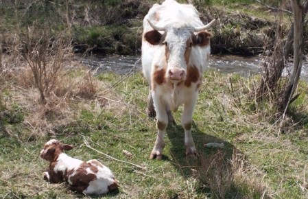 ������ �������� �������� ��������� ������ ����� ��������?