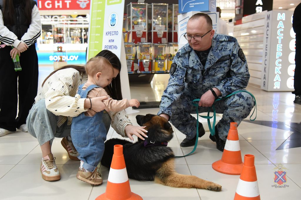 В Волгограде прошла информационно-пропагандистская акция В Волгограде прошла информационно-пропагандистская акция