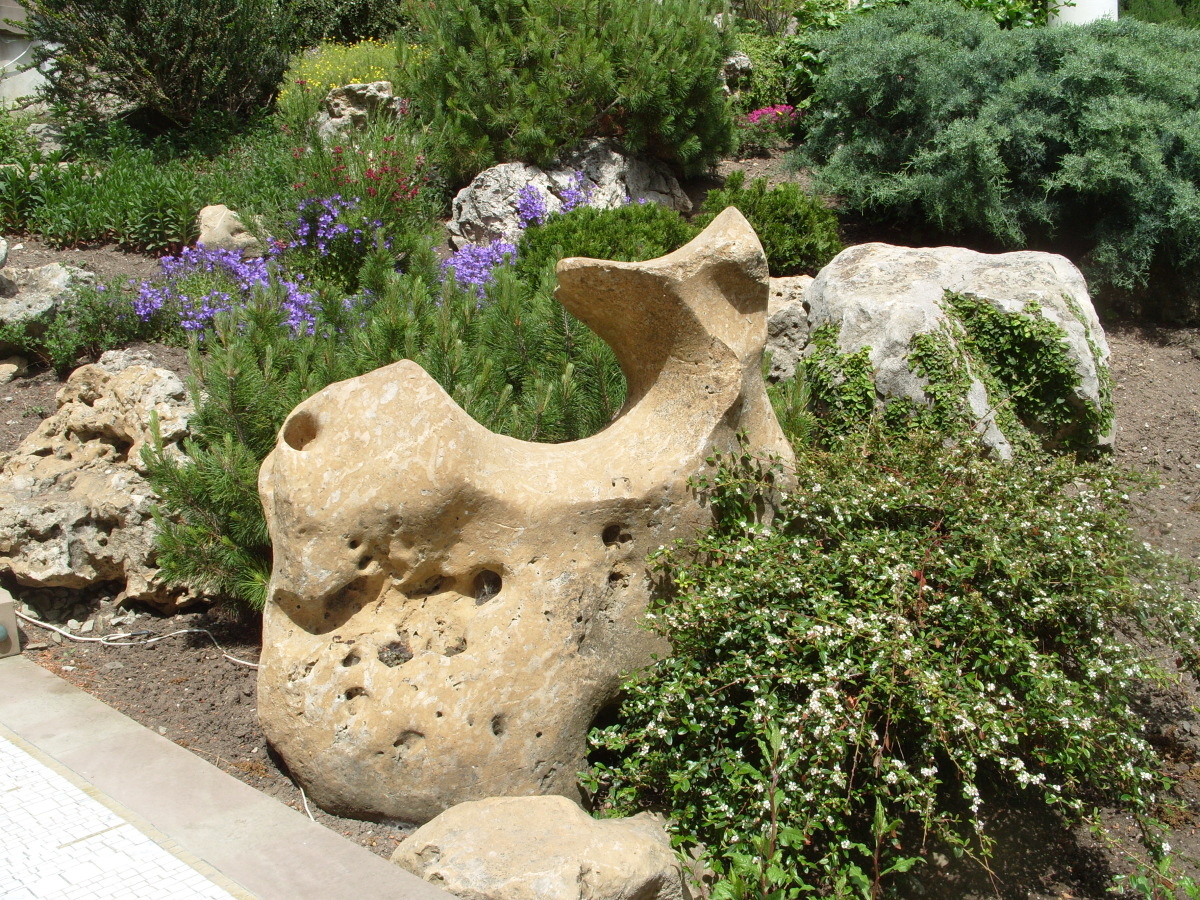 Как создать идеальный рокарий: советы по размещению камней