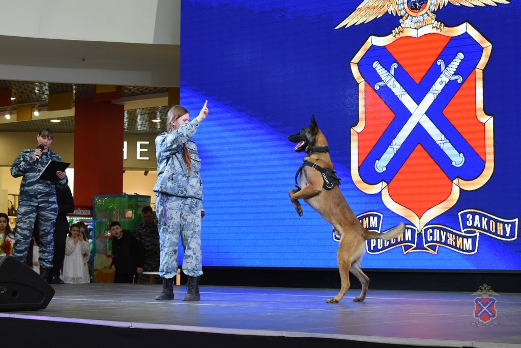 В Волгограде прошла информационно-пропагандистская акция В Волгограде прошла информационно-пропагандистская акция