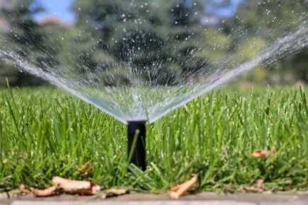 ����� 40 ��� ������ ��������� �� ���� ������ �������� ������� � ����������