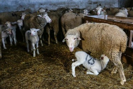 ����� ��� � 10 ��� ��������� ���������� ������� ���������� ����� �������� � ������������� �������