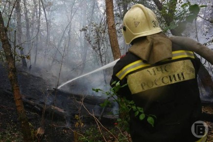 ������� ��������������� ��������� � ���������������, ������������, ����������� � �������� ������� ������������� ������� � 14 �� 16 ����� � �� ����� ����� 31 �����, � ����� ����� 1 ������ � ���