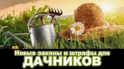 � 1 ����� ���������� ��� ������ ������ �� 700 ����� ������: ��� ����� �����