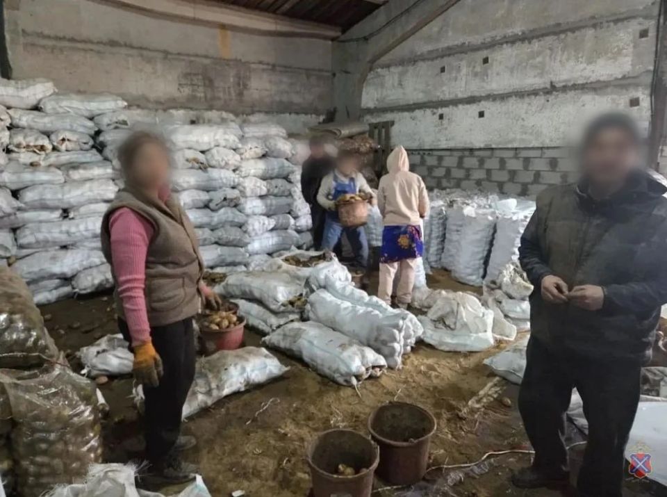 � ������������� ������ ����������� ��������� ���������� ���������� �� ���������� ������ �������� ���������