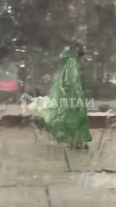 Противогаз против потопа: в Волгограде природа настолько очистилась, что на улицах замечен первый сталкер