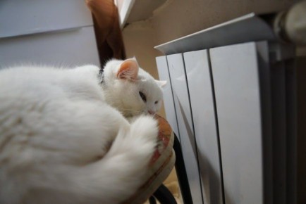 ������������ ����� 2026 � ���������� ������ �������� ��-�� ������