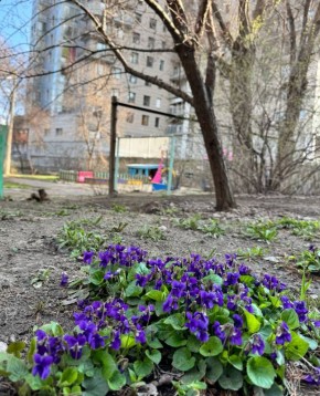 ������� �����������. � �� ��� ������������ ���������� �� ������ ������? ��� ����������?