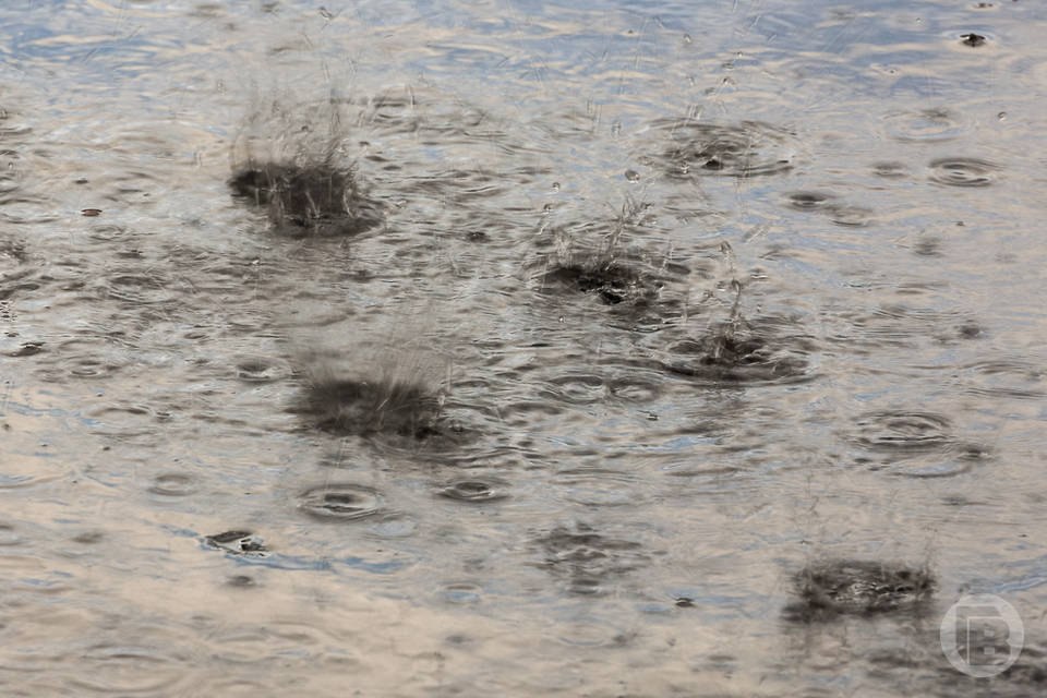 Погода в Волгограде и области 4 апреля