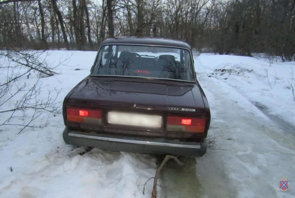 � ���������� ����������� ��������� �������������� � ����� ����������