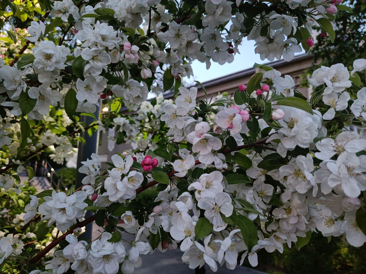 Новые правила жизни россиян: что ожидает с 1 апреля 2026 года