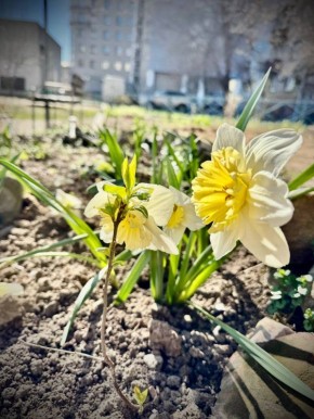 Эту весну уже не остановить!